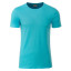 James & Nicholson Klasické pánske tričko z biobavlny 8008 - Nebesky modrá | S
